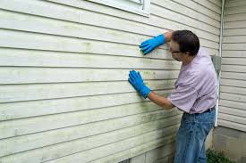 Best Insulated Siding Installation  in Tellico Village, TN